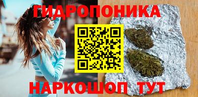 сатива Кандалакша
