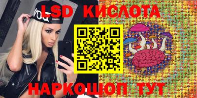 сатива Кандалакша