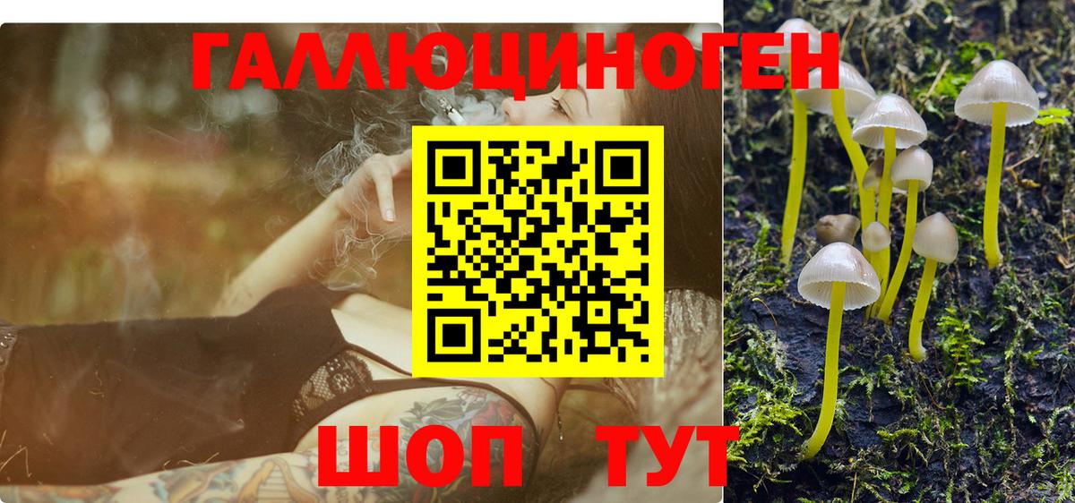 Канабис Кузнецк